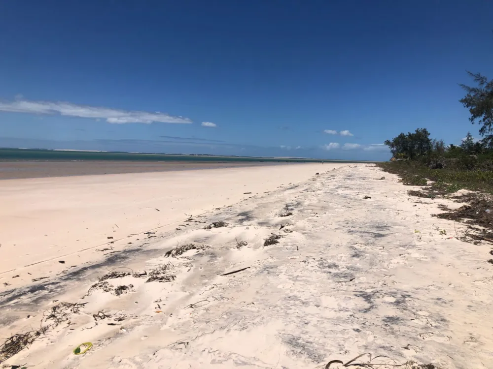 Vacant land for investment in Inhassoro, Mozambique - 3MQ1626246 Vacant land for investment in Inhassoro, Mozambique - 3MQ1626246