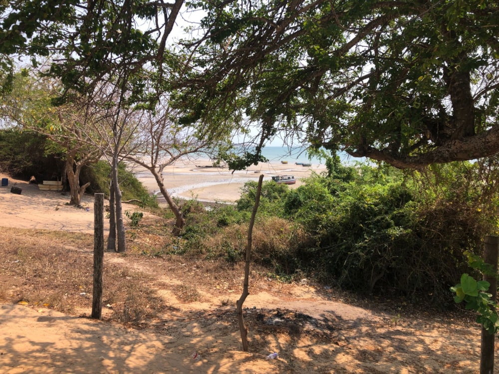 Vacant land for investment in Vilanculos, Mozambique - 3MQ1626251