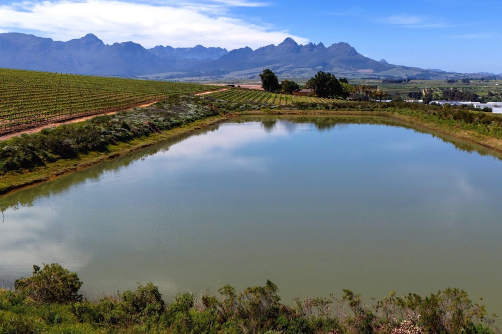 Wine farm sold in Stellenbosch Farms - ST1628031 Wine farm sold in Stellenbosch Farms - ST1628031