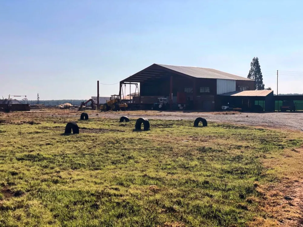 Commercial industrial property for sale in Belfast - 1DS1632952