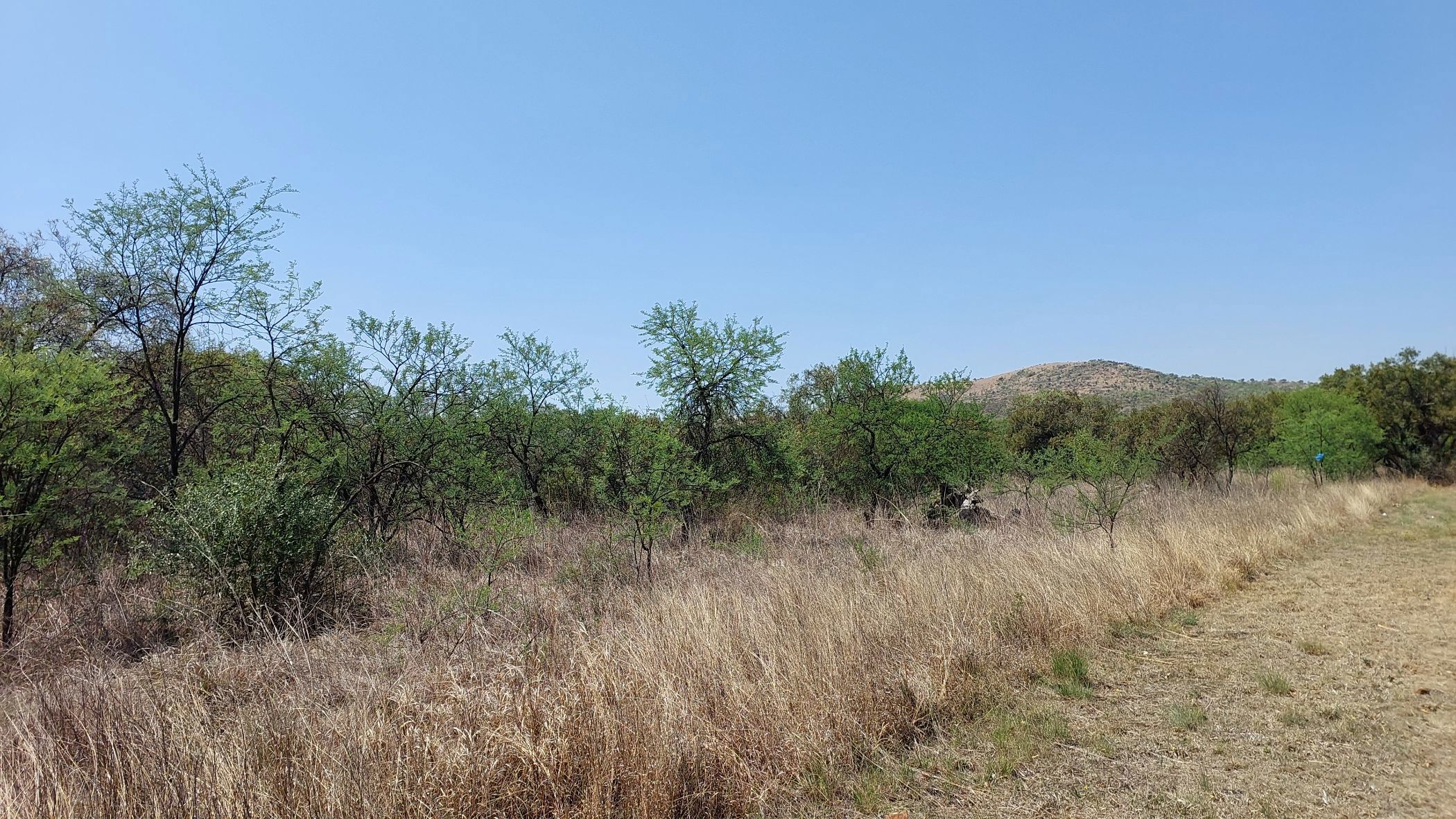 Vacant land for sale in Meerhof - 1HR1631265