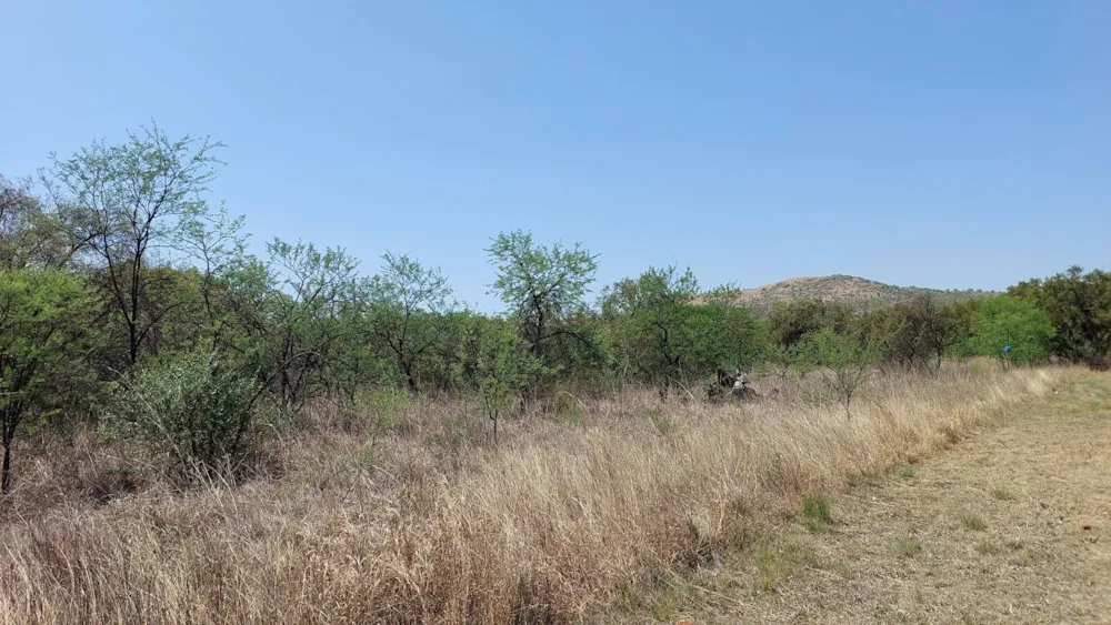 Vacant land for sale in Meerhof - 1HR1631265 Vacant land for sale in Meerhof - 1HR1631265