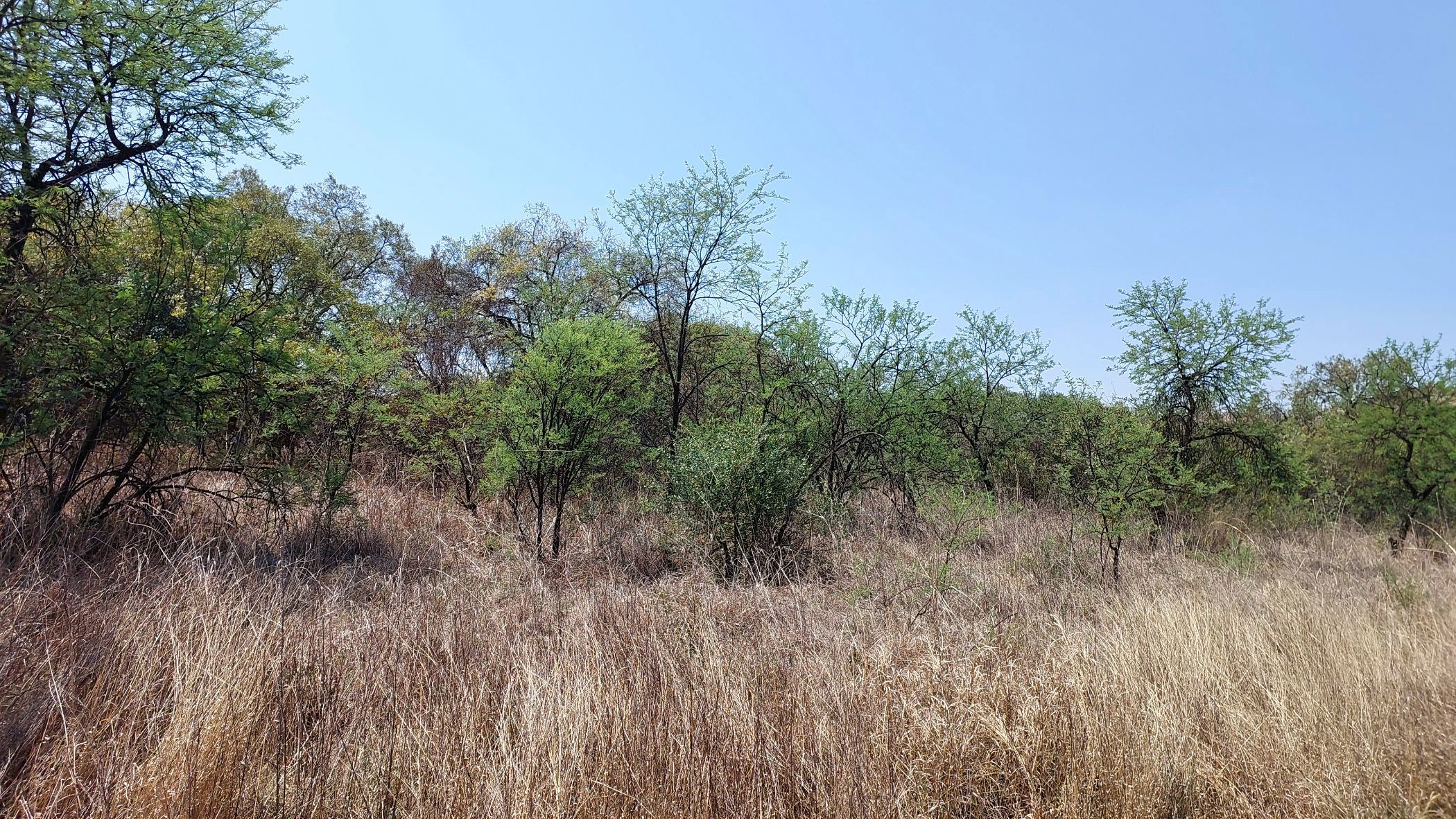 Vacant land for sale in Meerhof - 1HR1631265