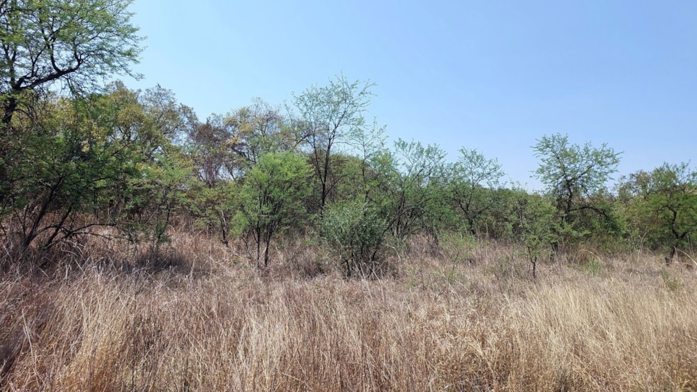 Vacant land for sale in Meerhof - 1HR1631265 Vacant land for sale in Meerhof - 1HR1631265