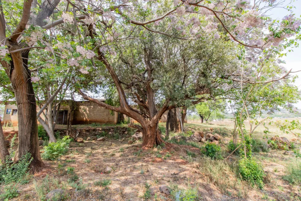 Mixed use farm for sale in Broederstroom - 1HR1631789