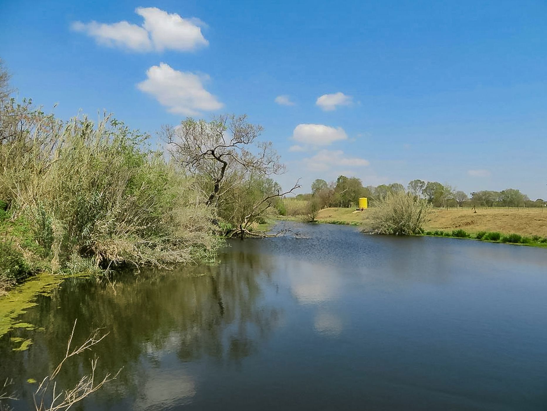 Mixed use farm for sale in Skeerpoort - 1HR1631816