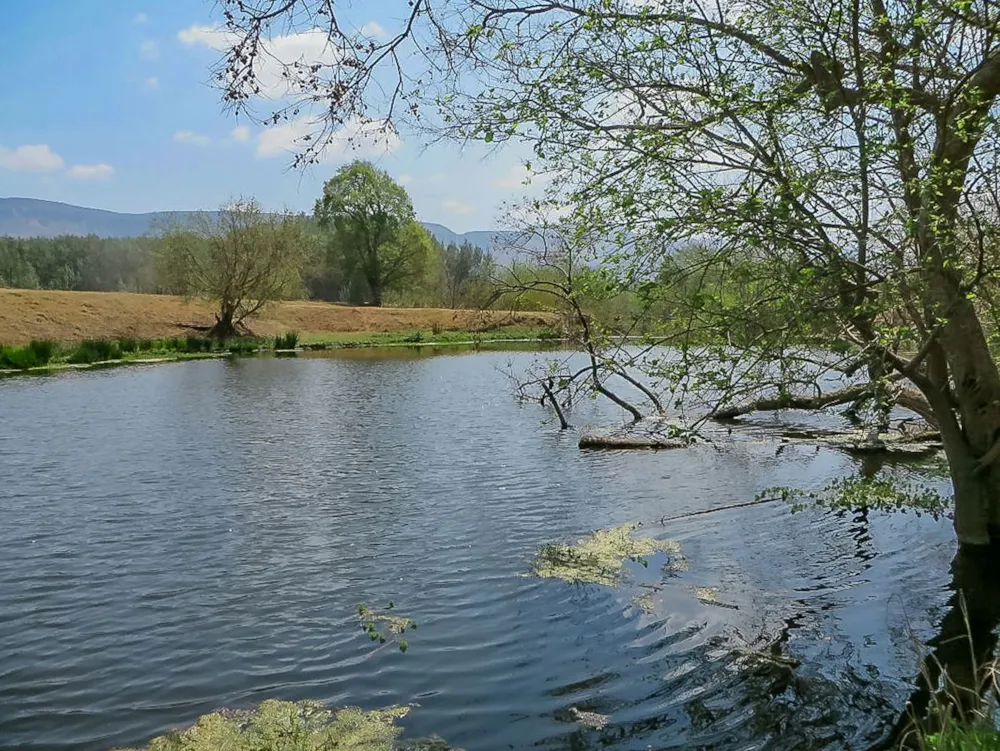 Mixed use farm for sale in Skeerpoort - 1HR1631816