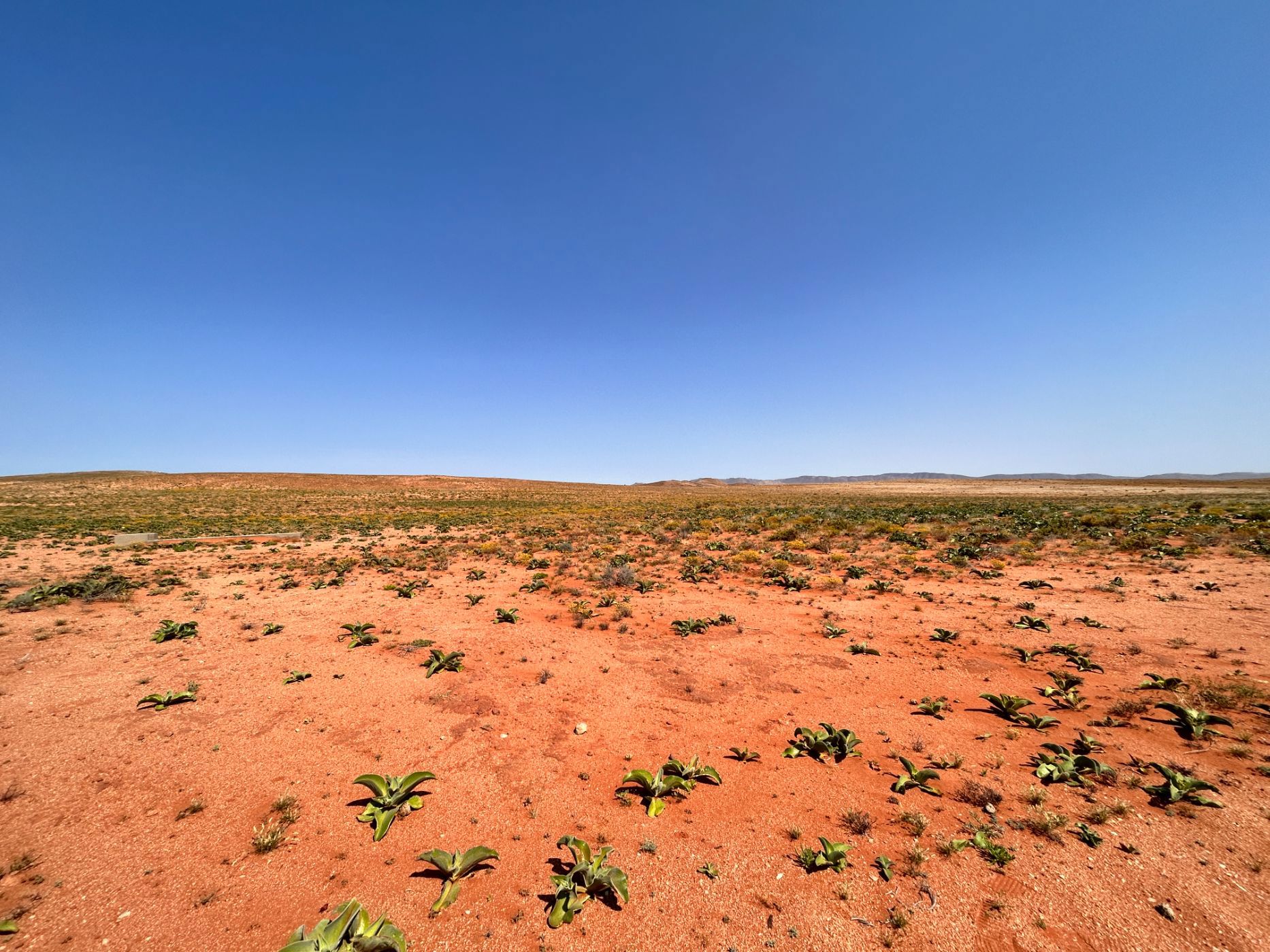 Mixed use farm for sale in Springbok Farms - 1NA1631637