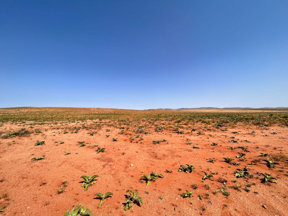 Mixed use farm for sale in Springbok Farms - 1NA1631637