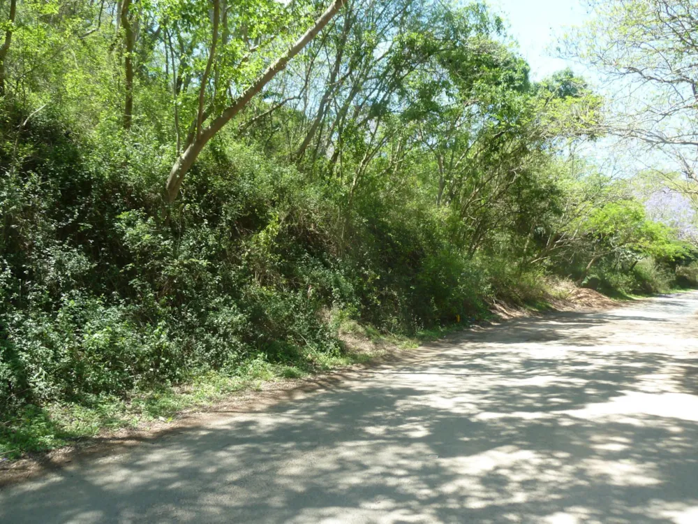 Residential vacant land for sale in Shongweni - 1KF1631718