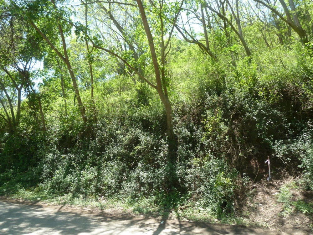 Residential vacant land for sale in Shongweni - 1KF1631718