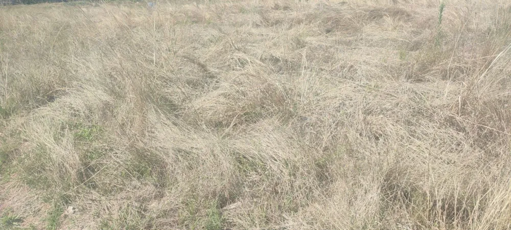 Residential vacant land for sale in Kamagugu - 1NS1631906