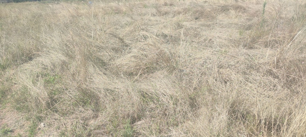 Residential vacant land for sale in Kamagugu - 1NS1631906 Residential vacant land for sale in Kamagugu - 1NS1631906