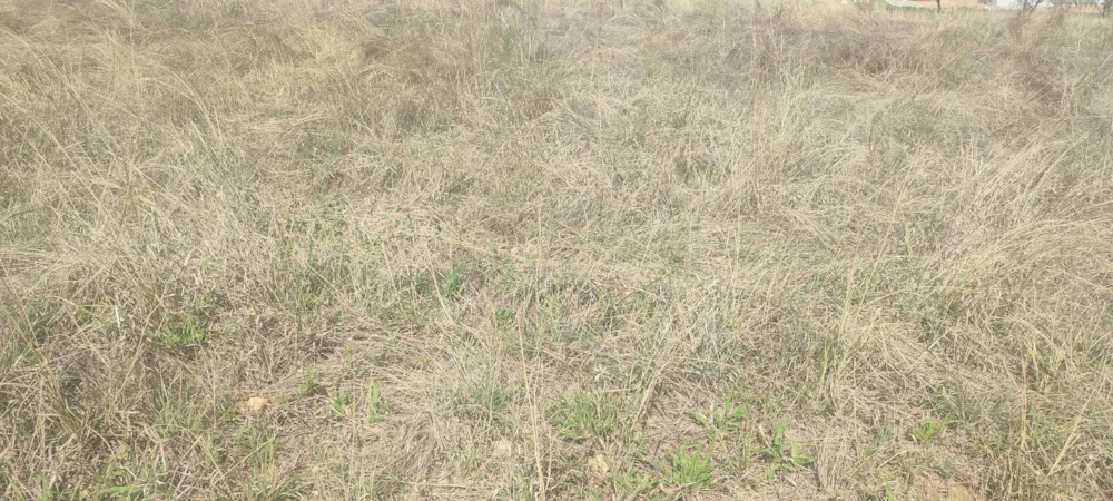 Residential vacant land for sale in Kamagugu - 1NS1631906