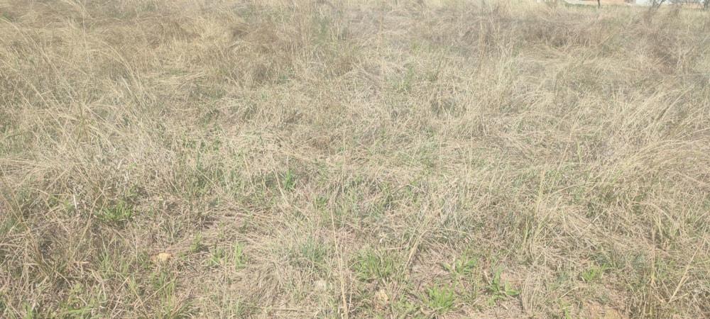 Residential vacant land for sale in Kamagugu - 1NS1631906 Residential vacant land for sale in Kamagugu - 1NS1631906