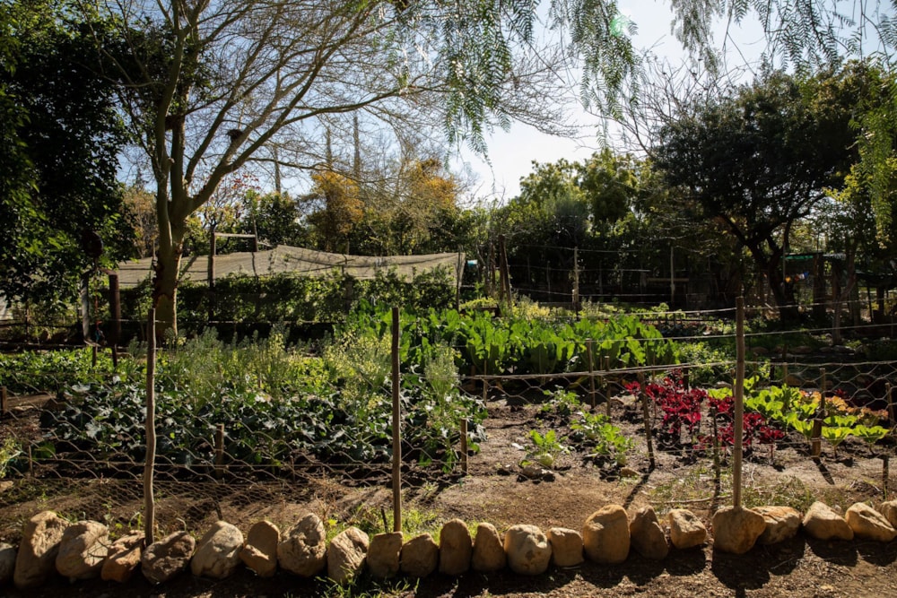 House for sale in Prince Albert - 1KK1632026