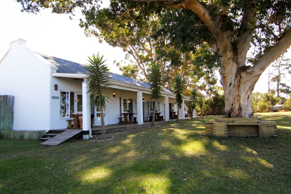 House to rent in Goose Valley - 1KG1632256 House to rent in Goose Valley - 1KG1632256