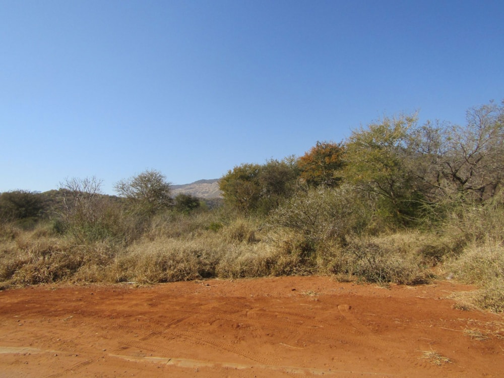 Residential vacant land for sale in Thabazimbi - 1ER1632501