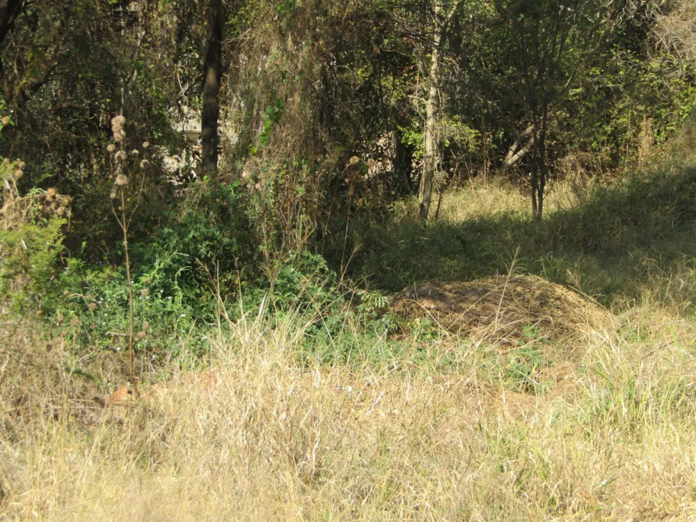 Residential vacant land for sale in Thabazimbi - 1ER1632501 Residential vacant land for sale in Thabazimbi - 1ER1632501