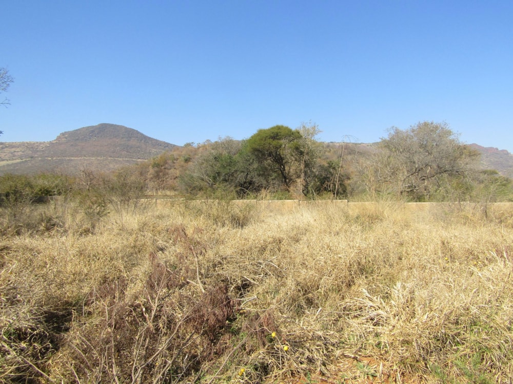 Residential vacant land for sale in Thabazimbi - 1ER1632501