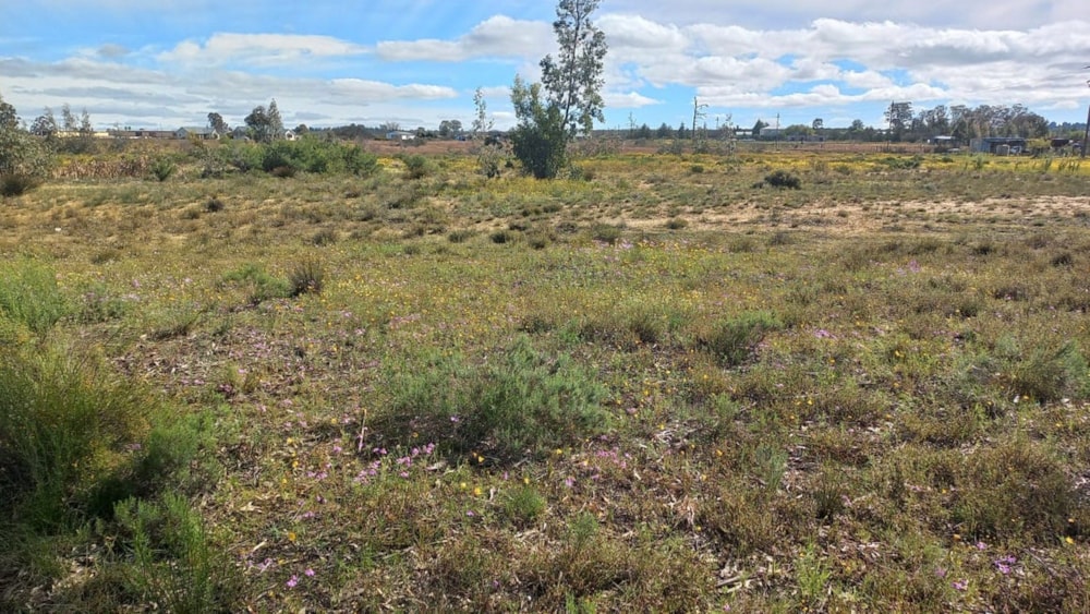 Vacant land for sale in Nieuwoudtville - 1NA1636831