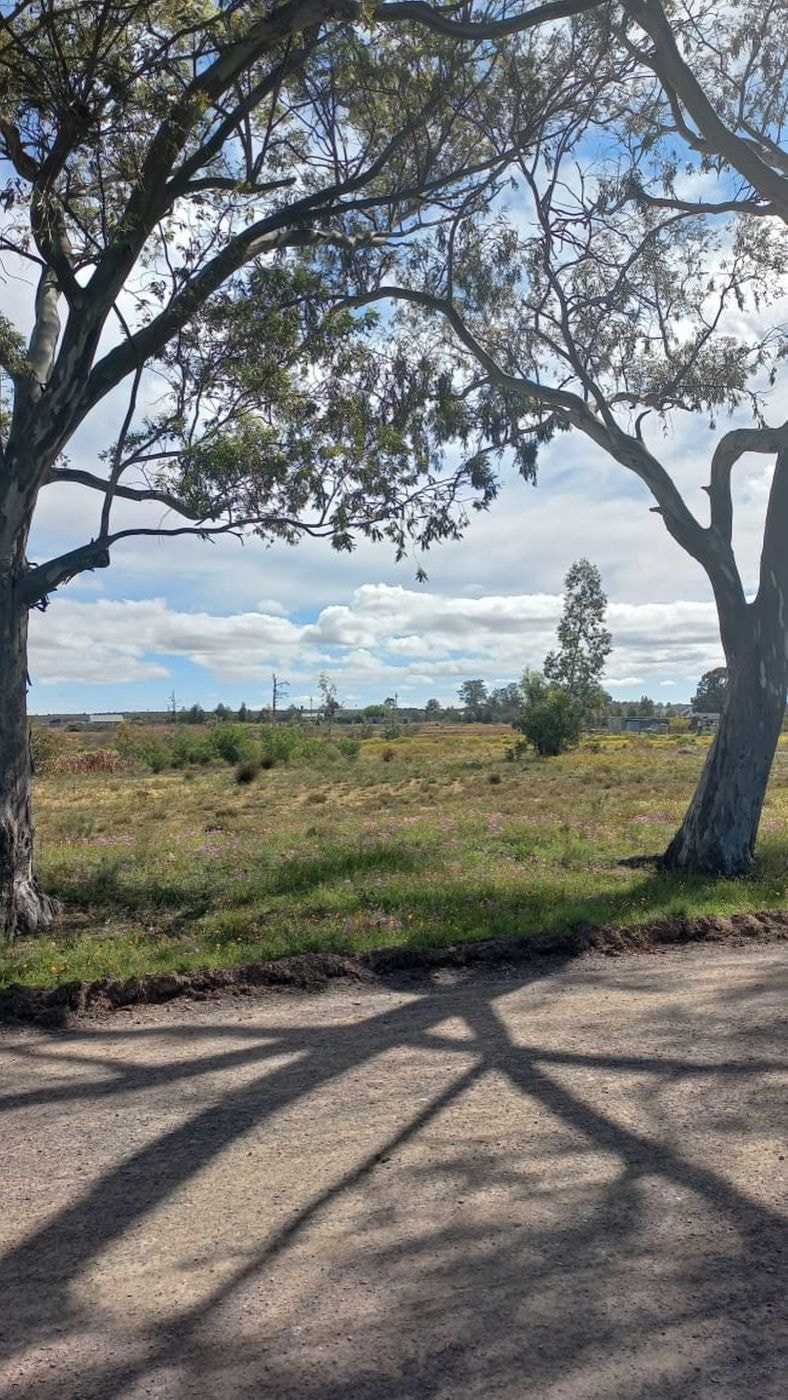 Vacant land for sale in Nieuwoudtville - 1NA1636831