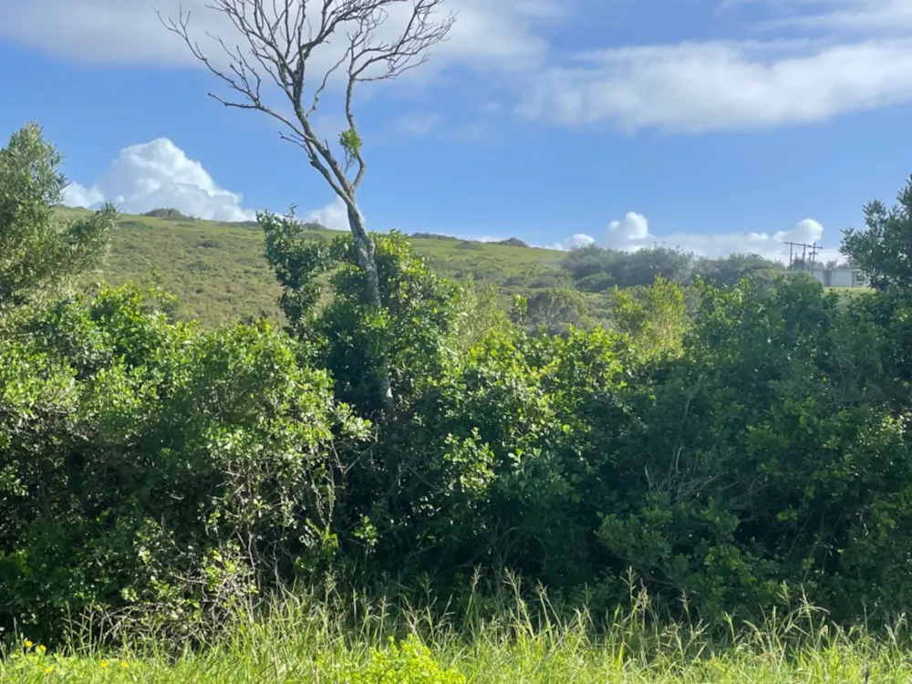 Farm vacant land for sale in Cannon Rocks - 1KO1742243