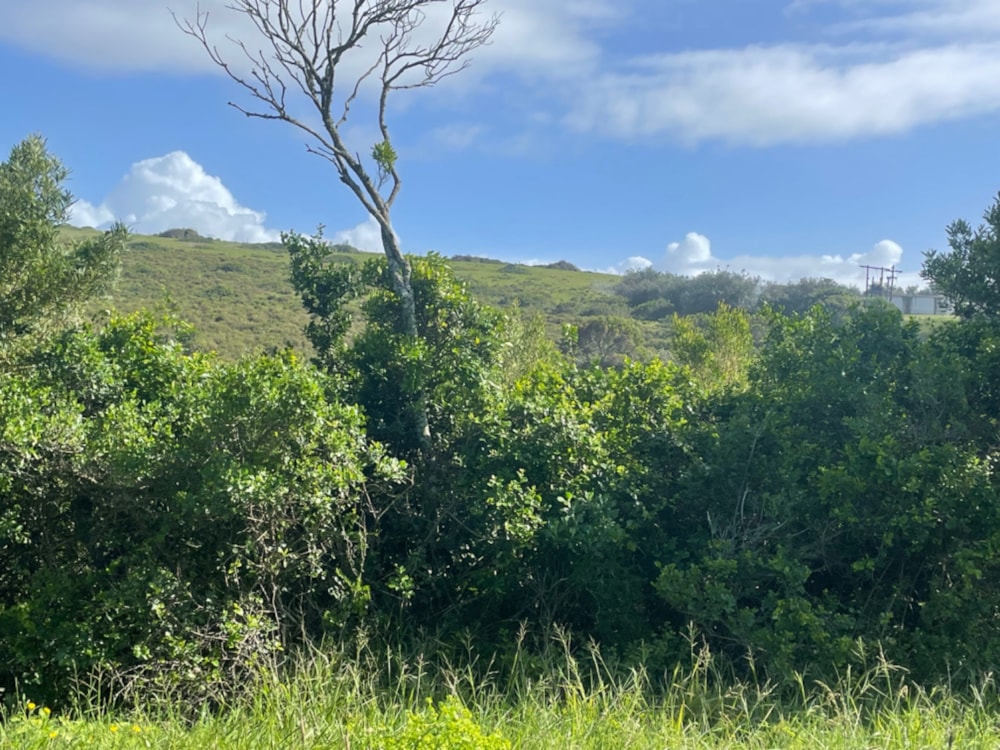 Farm vacant land for sale in Cannon Rocks - 1KO1742243 Farm vacant land for sale in Cannon Rocks - 1KO1742243