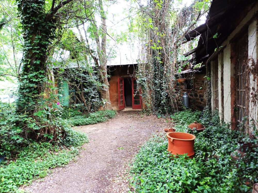 Smallholding sold in Dargle - 1PM1632972 Smallholding sold in Dargle - 1PM1632972