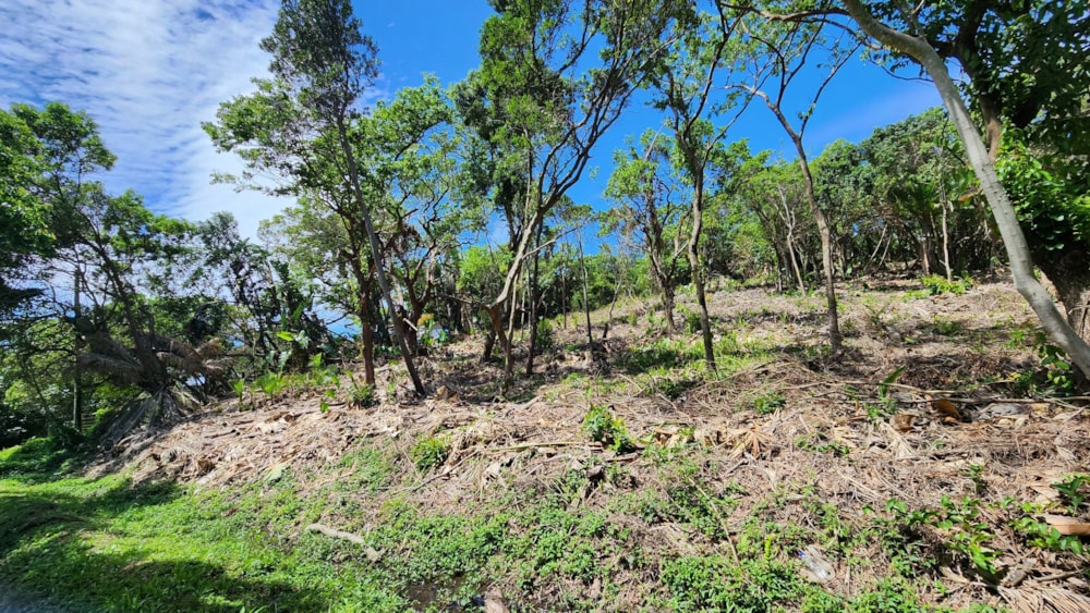 Residential vacant land for sale in Southport - 1PX1633146