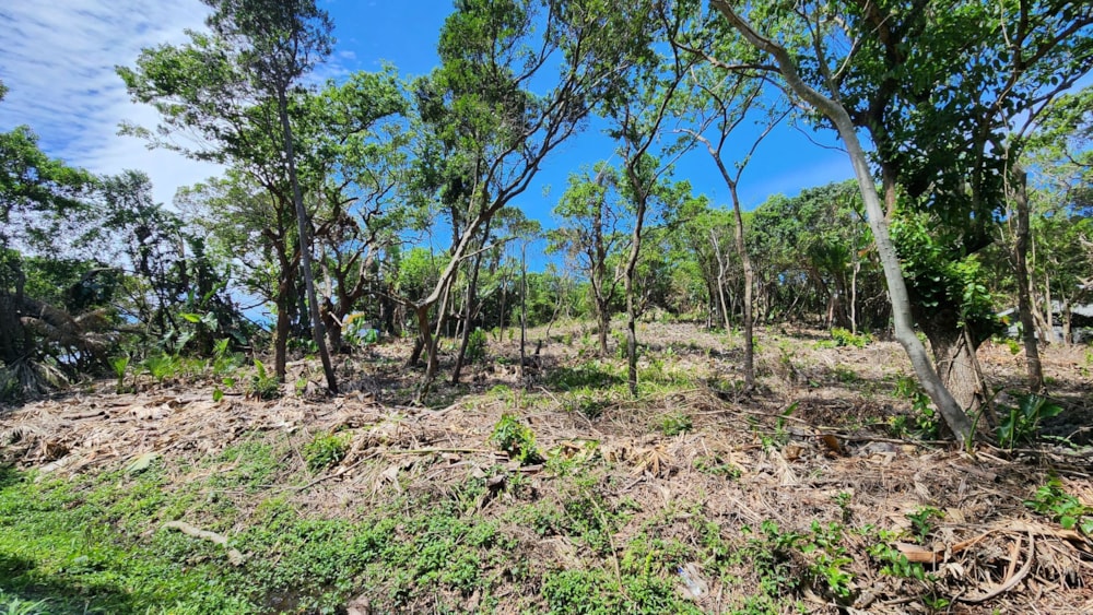 Residential vacant land for sale in Southport - 1PX1633146