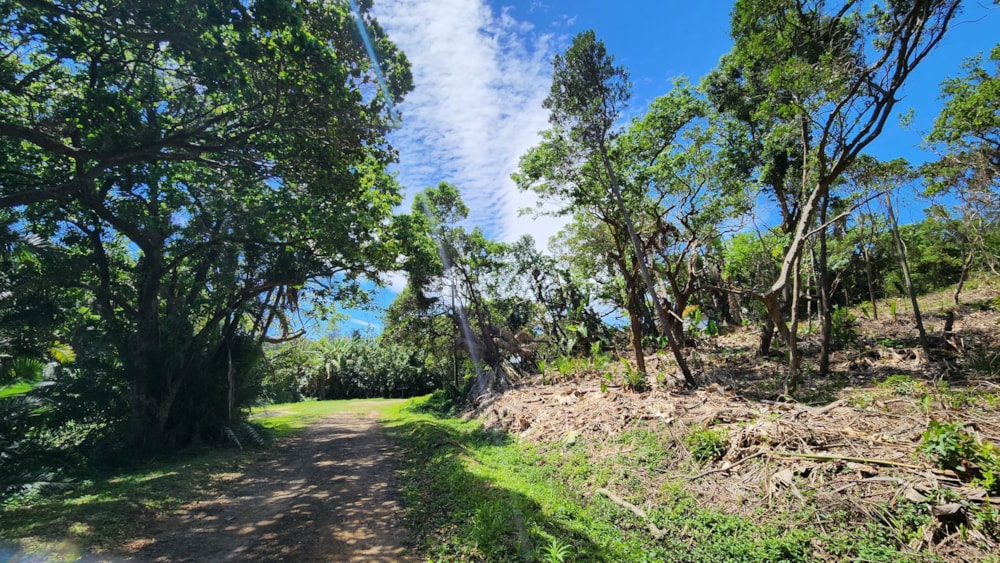 Residential vacant land for sale in Southport - 1PX1633146