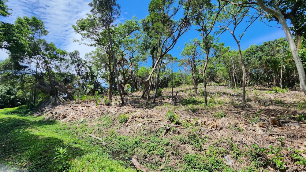 Residential vacant land for sale in Southport - 1PX1633146