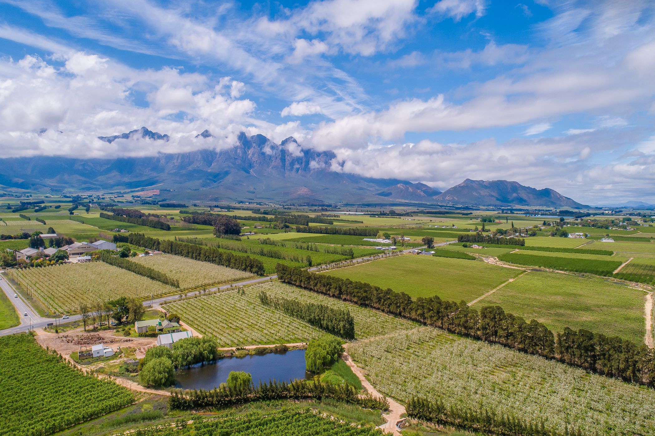 Fruit farm for sale in Worcester Rural - TK1633478