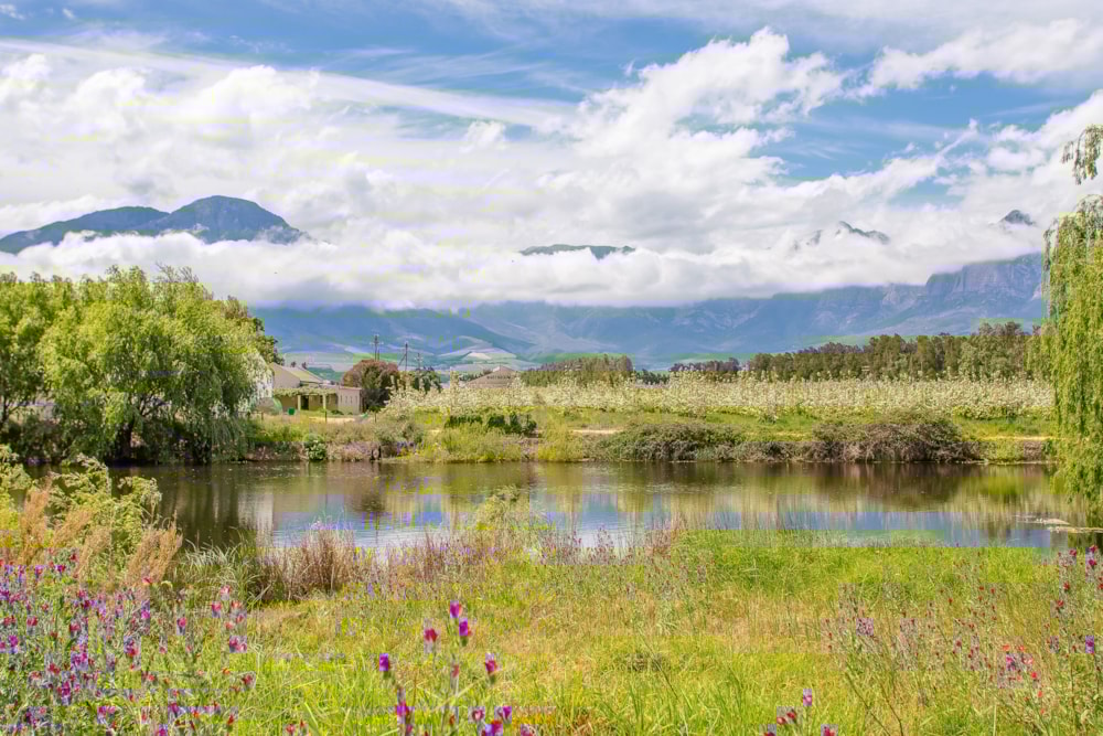 Fruit farm for sale in Worcester Rural - TK1633478