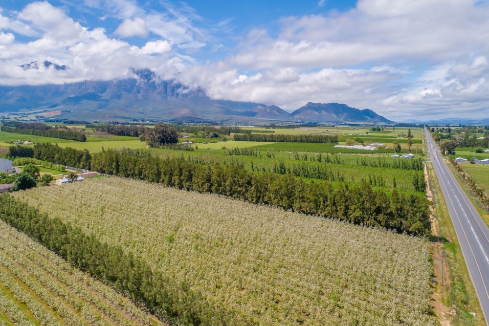 Fruit farm for sale in Worcester Rural - TK1633478