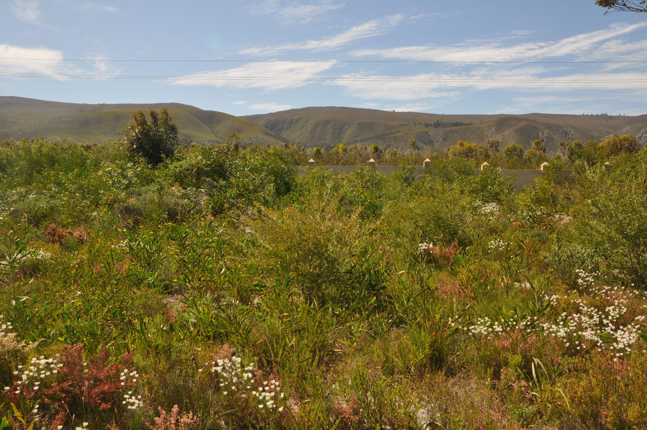 Residential vacant land for sale in Franskraal - 1SW1633529