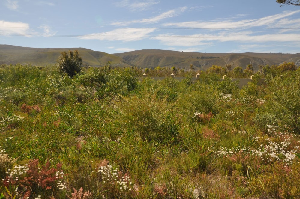 Residential vacant land for sale in Franskraal - 1SW1633529