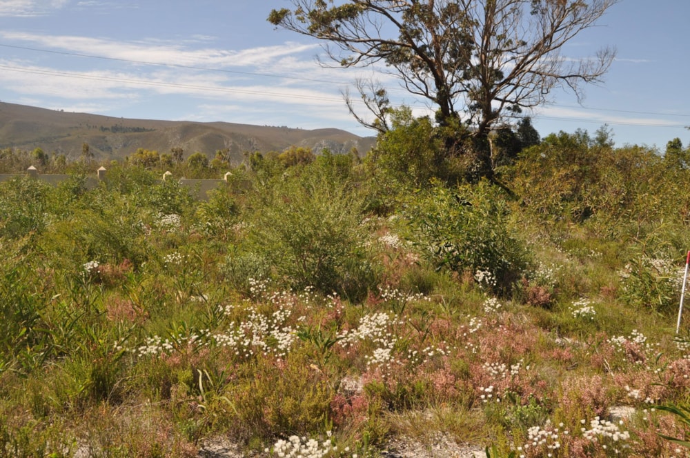 Residential vacant land for sale in Franskraal - 1SW1633529