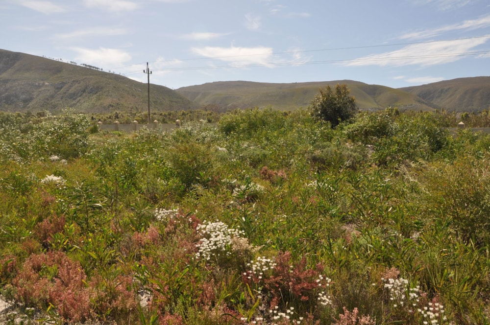 Residential vacant land for sale in Franskraal - 1SW1633529