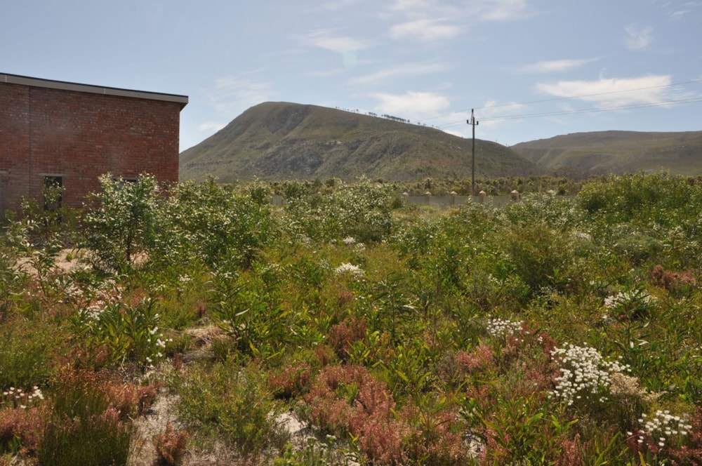 Residential vacant land for sale in Franskraal - 1SW1633529