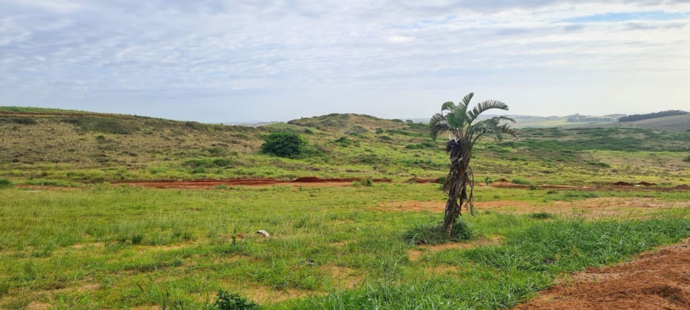 Residential vacant land for sale in Seaton Estate - 1BD1633853 Residential vacant land for sale in Seaton Estate - 1BD1633853