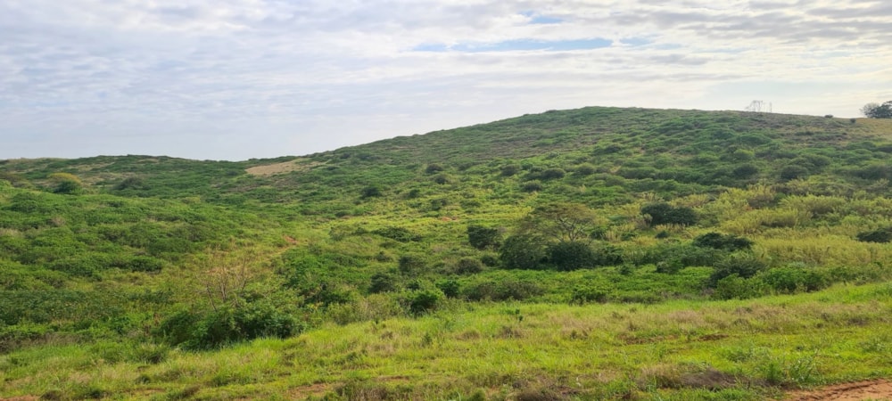 Residential vacant land for sale in Seaton Estate - 1BD1633853 Residential vacant land for sale in Seaton Estate - 1BD1633853