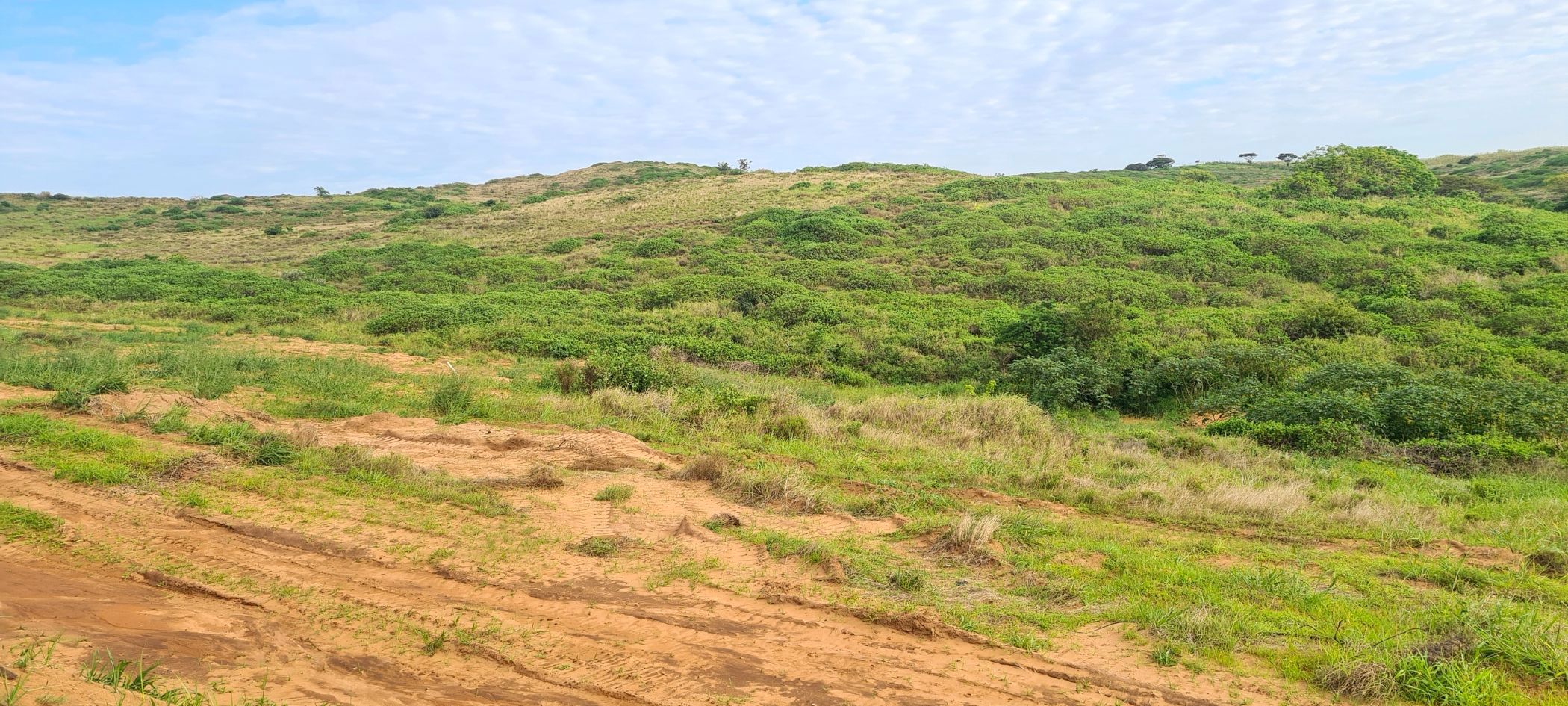 Residential vacant land for sale in Seaton Estate - 1BD1633853