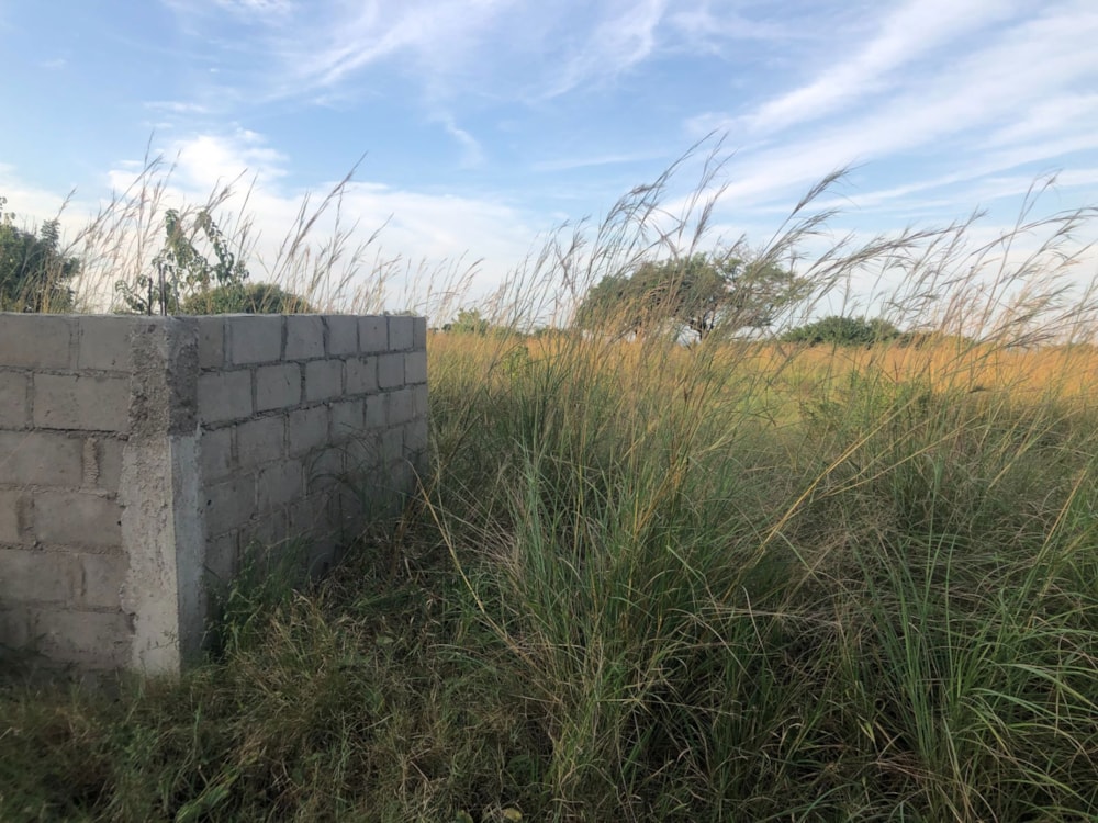 Farm vacant land for investment in Macia, Mozambique - 3MQ1633980 Farm vacant land for investment in Macia, Mozambique - 3MQ1633980