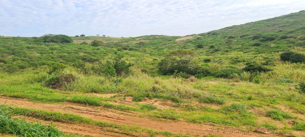 Residential vacant land for sale in Seaton Estate - 1BD1634283