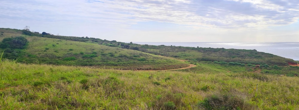 Residential vacant land for sale in Seaton Estate - 1BD1634362