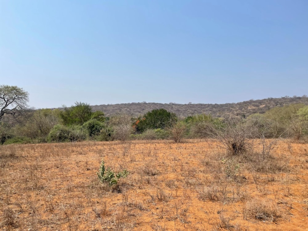 Vacant land for sale in Elephant Rock Eco Estate - 1HS1634534