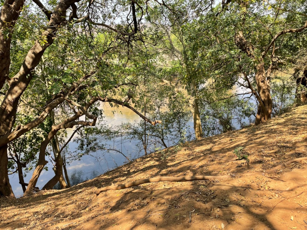 Vacant land for sale in Elephant Rock Eco Estate - 1HS1634534