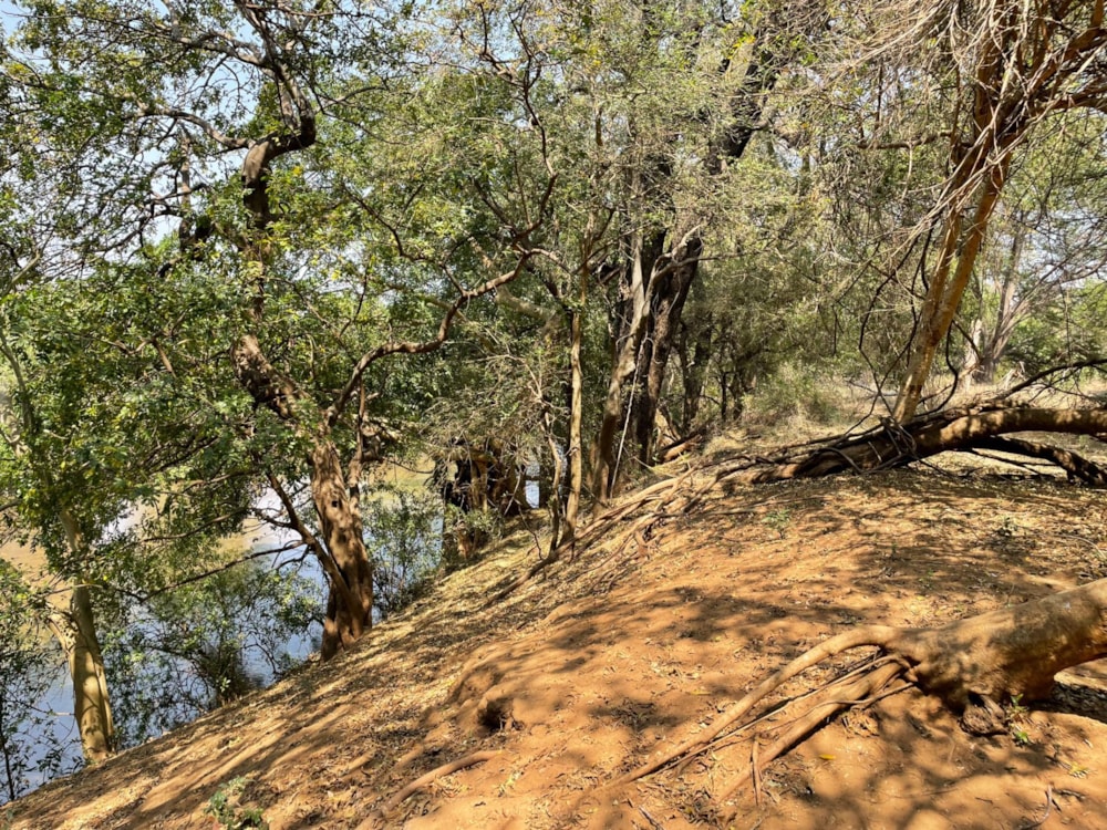 Vacant land for sale in Elephant Rock Eco Estate - 1HS1634534